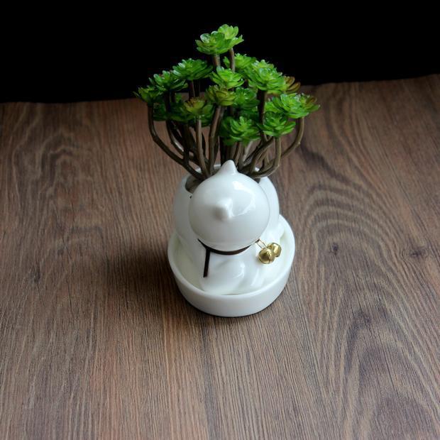 Whimsical Cat Ceramic Succulent Planter - Playful Home Accent