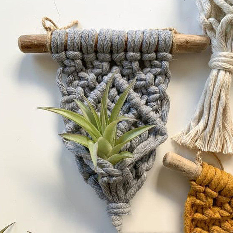 Solara Plant Hanger