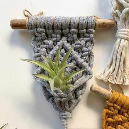 Solara Plant Hanger