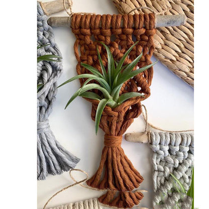 Solara Plant Hanger