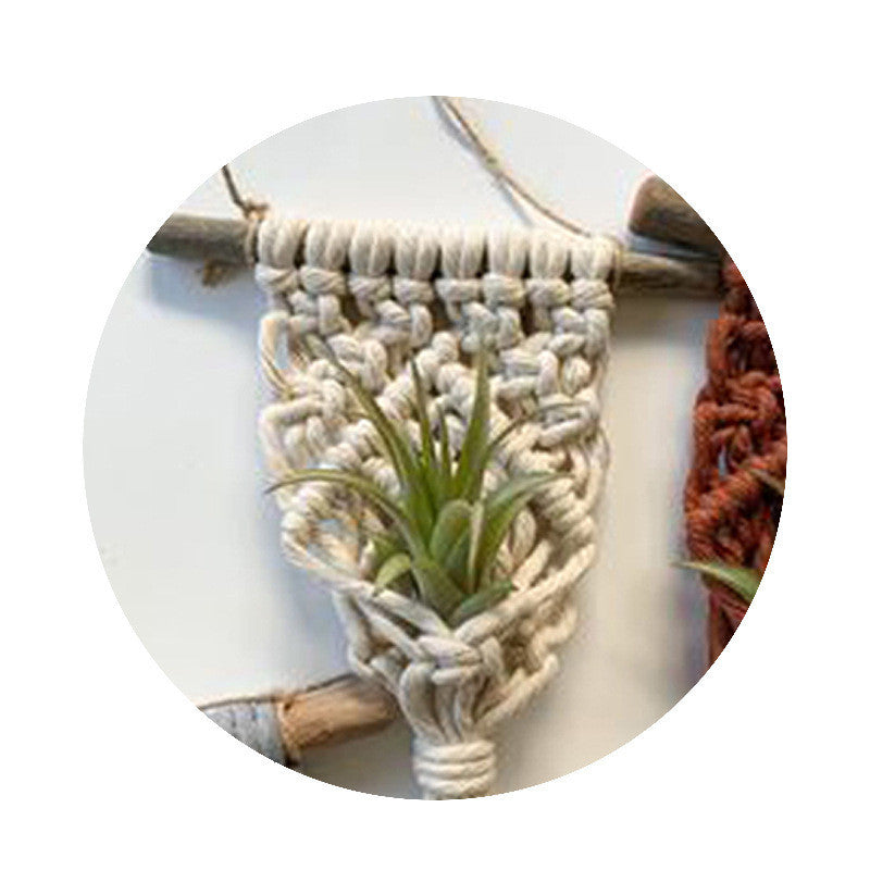Solara Plant Hanger