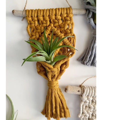 Solara Plant Hanger