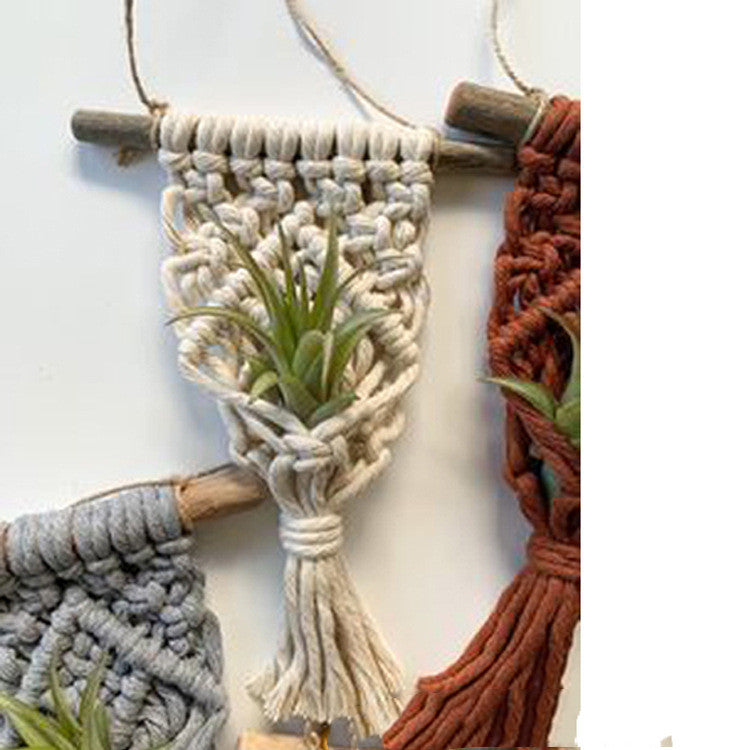Solara Plant Hanger